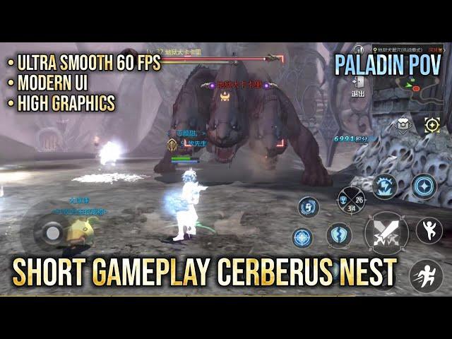 Short Gameplay Cerberus Nest Paladin POV - DRAGON NEST WORLD