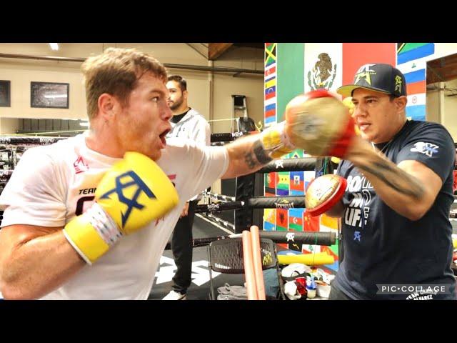 CANELO DESTROYING THE PADS WITH CRAZY SPEED - PERFECT TECHNIQUE