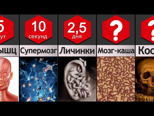 ТЕЛО человека после СМЕРТИ