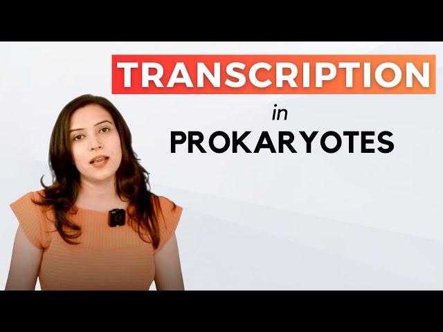 Transcription In Prokaryotes | In detail