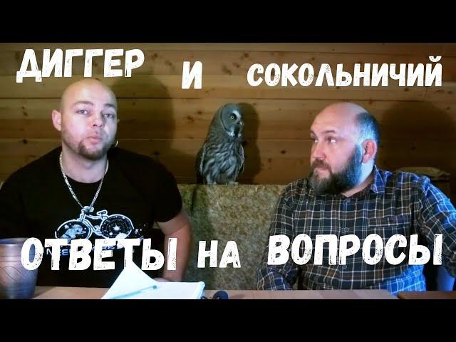 Диггер и Сокольничий:  ответы на вопросы 0009