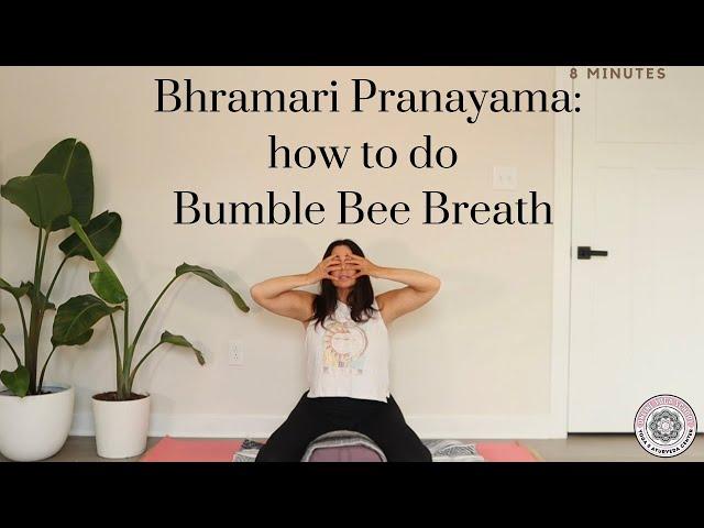 Bhramari Pranayama - How to do Bumble Bee Breath - Online Yoga School