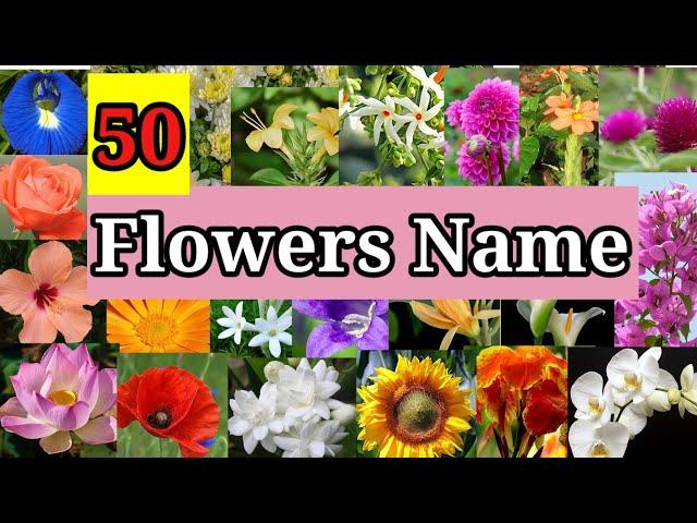 Flowers Name in English | 50 Flowers Name