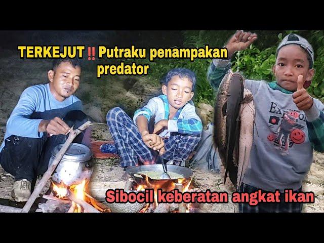 TERKEJUT‼️ Putraku penampakan predator | Sibocil keberatan angkat ikan