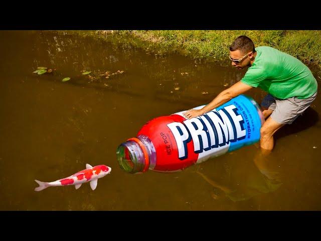 MEGA PRIME Bottle Catches Colorful Fish