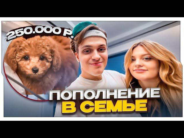 БУСТЕР И ДИЛАРА КУПИЛИ СОБАЧКУ ЗА 250.000 РУБЛЕЙ / BUSTER ROFLS