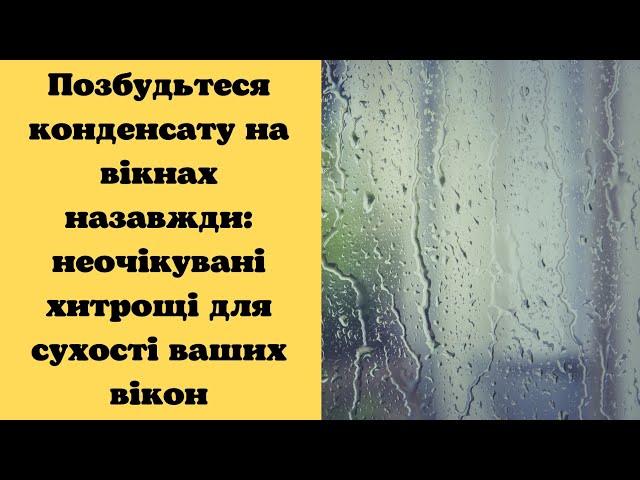 Позбудьтеся конденсату на вікнах назавжди: неочікувані хитрощі для сухості ваших вікон