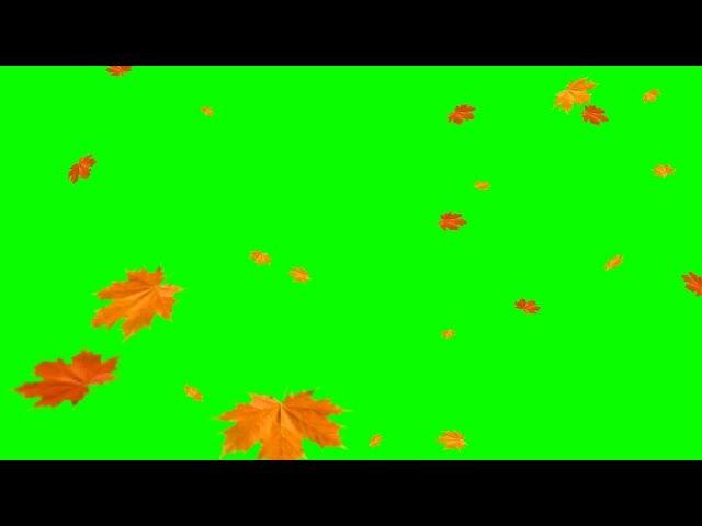 Green Screens : Falling leaves - Autumn