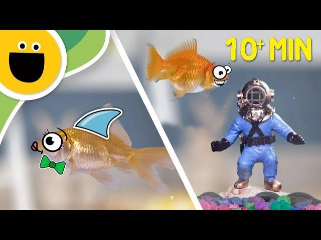 Tater and Tot Compilation | Baby Shark Song and More! (Sesame Studios)