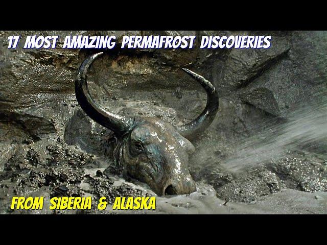 17 Most Amazing Permafrost Discoveries From Siberia & Alaska