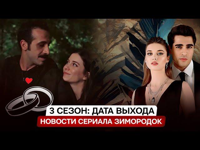 ДАТА ВЫХОДА 3 СЕЗОН! Турецкий сериал Зимородок и неожиданные свадебные новости