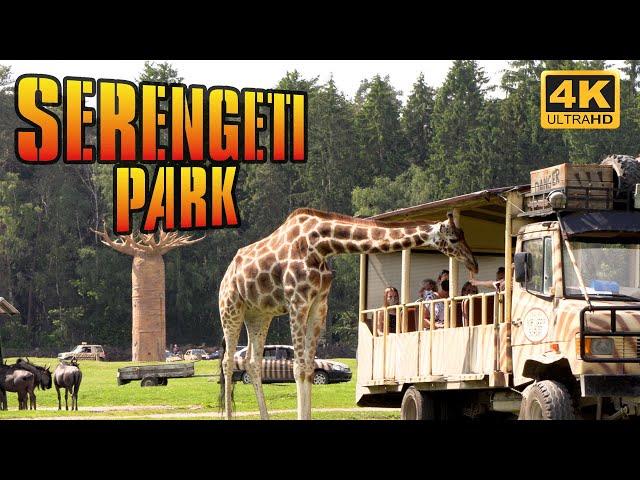 SERENGETI Park  - Self drive in safari park with 1500+ wild animals| Planet Earth TV