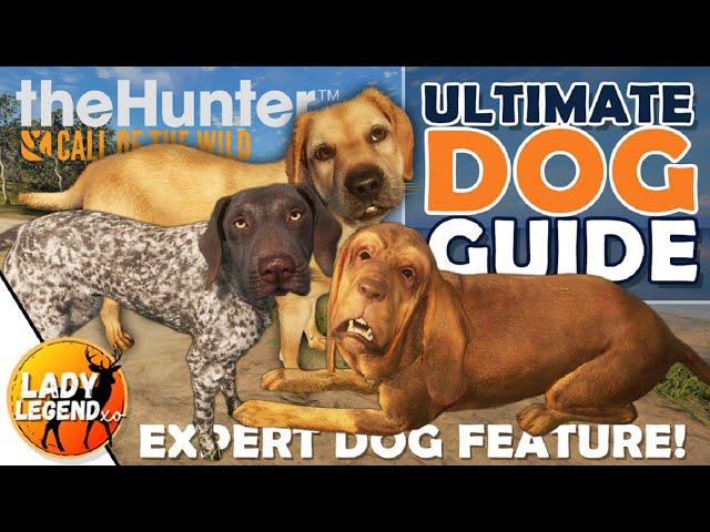 The ULTIMATE DOG GUIDE - How to Use the Bloodhound, Retriever & Pointer!!! - Call of the Wild