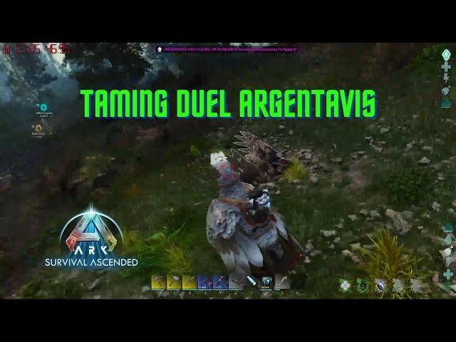 Ark Survival Ascended Taming Duel Argentavis