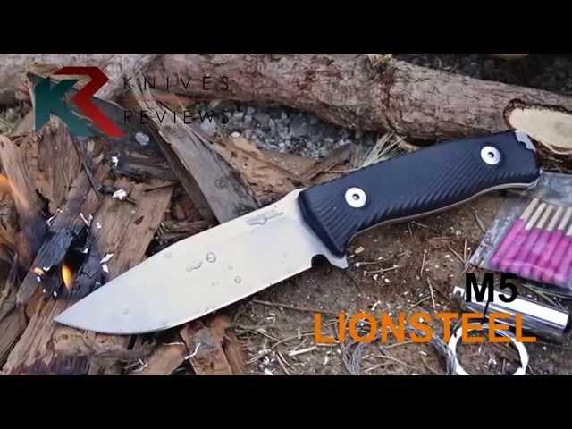 LionSteel M5