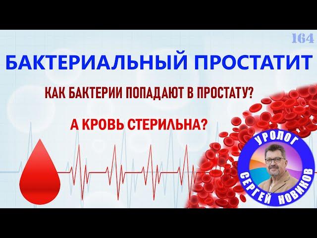 Бактериальный простатит. Как бактерии попадают в простату? А кровь стерильна?