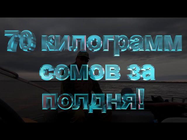 Кажется сомы сошли с ума!!! 70 килограмм сомов за полдня