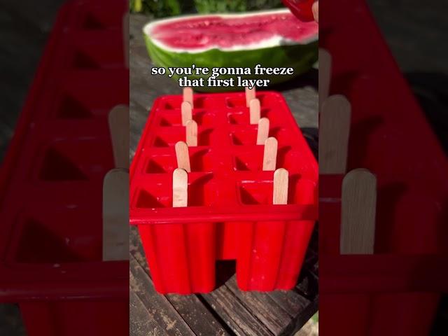 Let’s make watermelon popsicles  #fruit