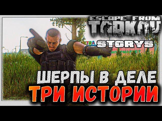 Лес, Шерпы и Т-7  Три истории, один рейд в Escape From Tarkov 3 серия