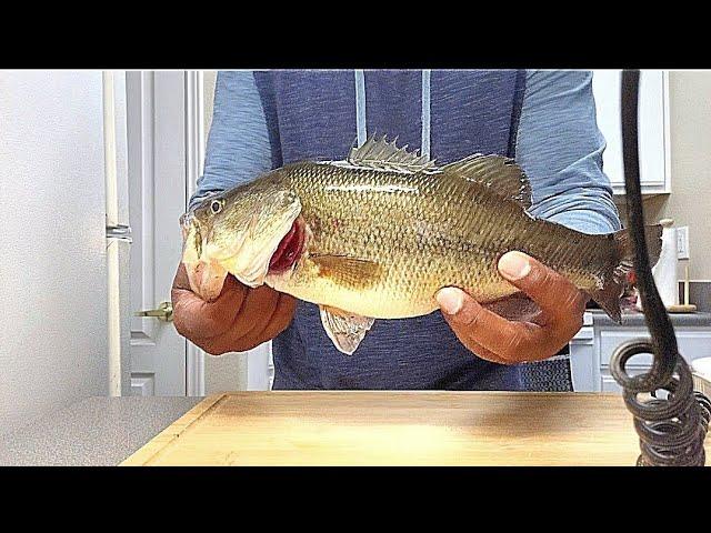 A Quick 3 Minute Tutorial on How To Filet A Bass #fishing