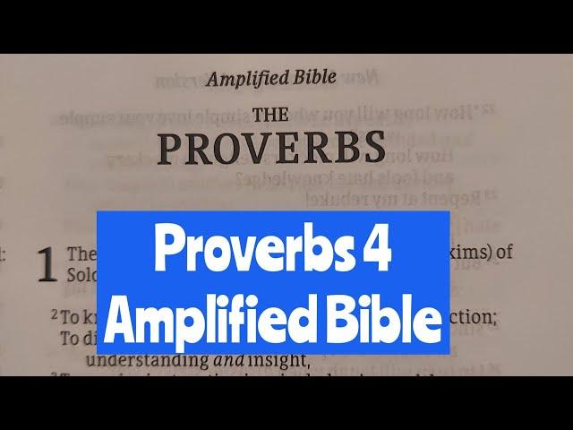 Proverbs 4 Amplified Version
