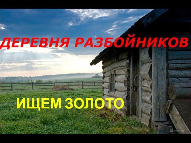 ИЩЕМ ЗОЛОТО У ДЕРЕВНИ РАЗБОЙНИКОВ!* Клад!KladTV*SEARCH GOLD