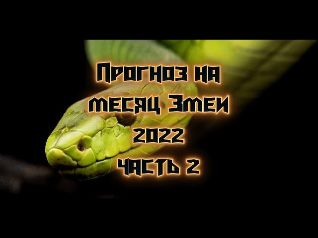 Прогноз на месяц Змеи 2022 (часть 2)