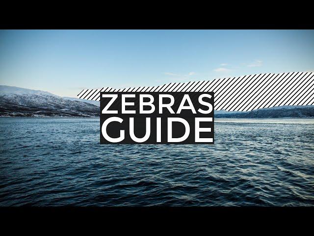 Guide To Using Zebras With All Sony Gammas