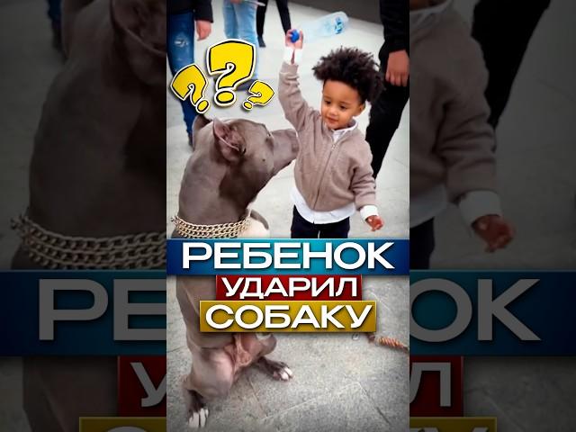 Ребенок Ударил Собаку Бутылкой #shorts