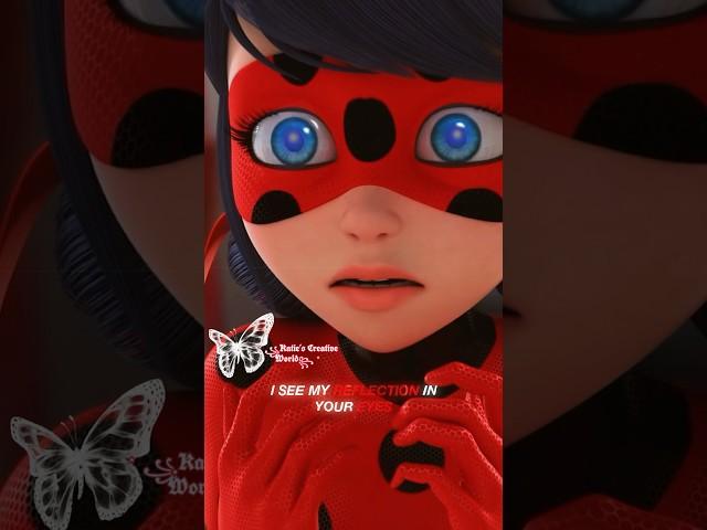Ladybug didn't deserve all that panicking - reflections | the neighborhood