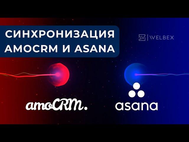 Синхронизация AmoCRM и Asana | Доработка виджета