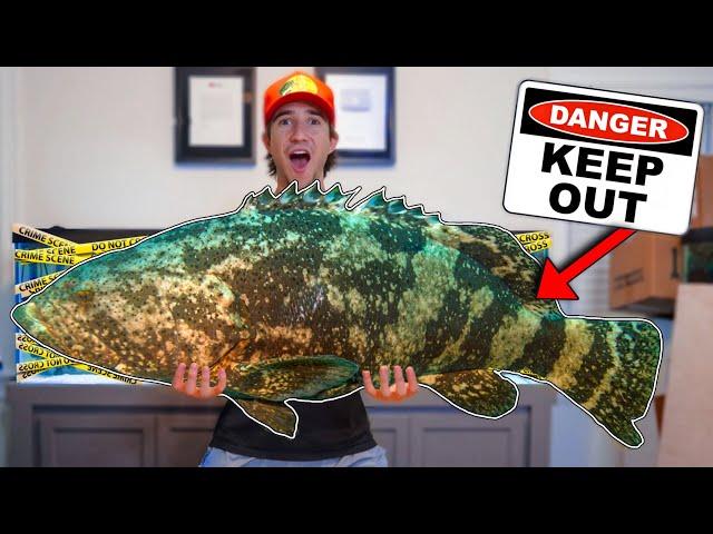 UNBOXING THE WORLD'S BIGGEST FISH... (what's inside?)