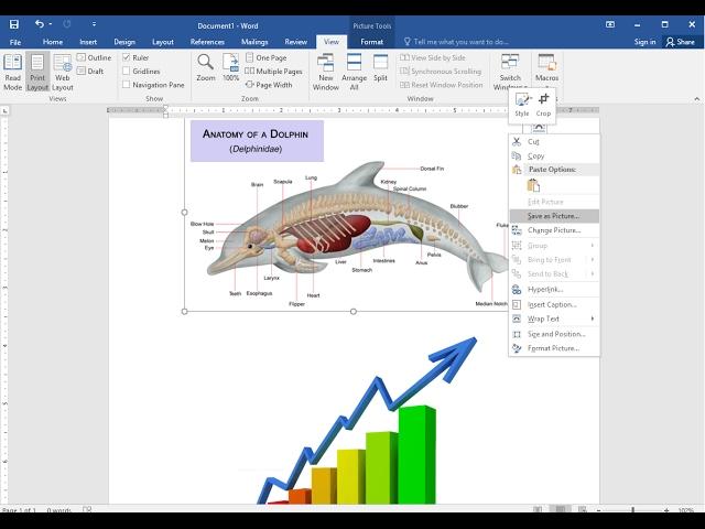 How to Extract Image Only Save As Picture from MS Word