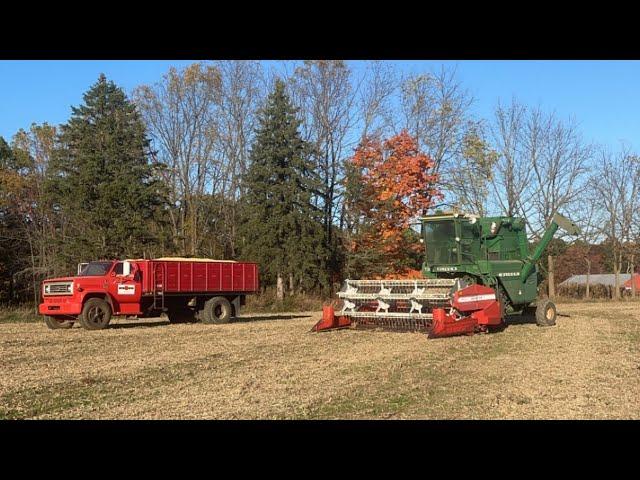 A Little More Corn And Switching Back To Beans