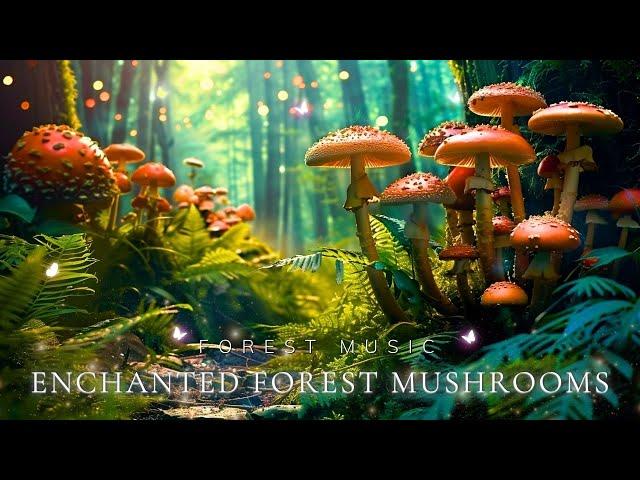 Enchanting Forest Environment with Magical Forest Music | Relax, Heal Your Mood and Deep Sleep