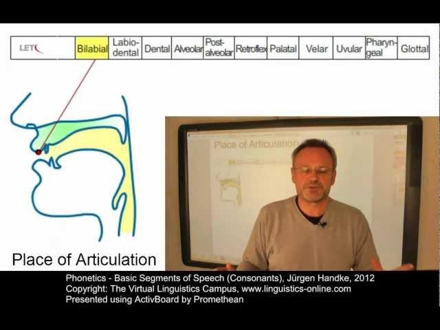 PHO106 - Basic Segments of Speech (Consonants)
