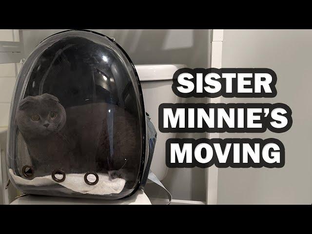 Sister Minnie's Moving