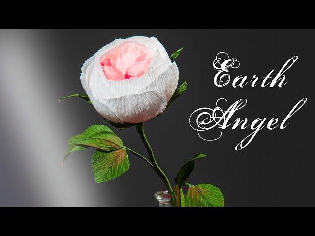 РОЗА АНГЕЛ ЗЕМЛИ  /  EARTH ANGEL ROSE