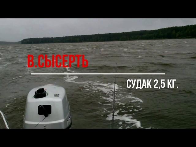 Рыбалка в Верхней Сысерти  Судак