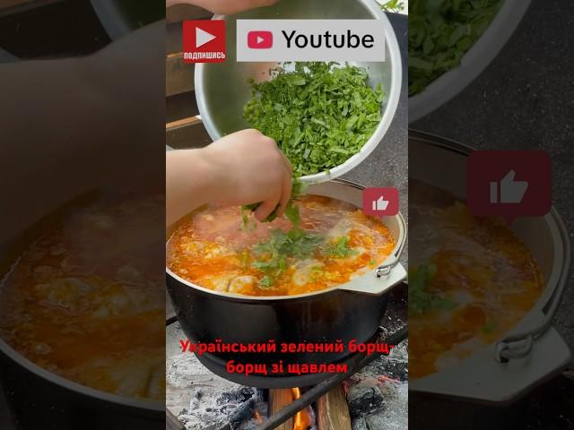 Український зелений борщ-борщ зі щавлем#україна #борщ #зеленийборщ #борщрецепт #shot #рекомендации