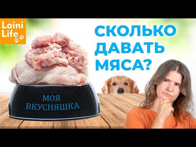 Сколько МЯСА давать собаке?