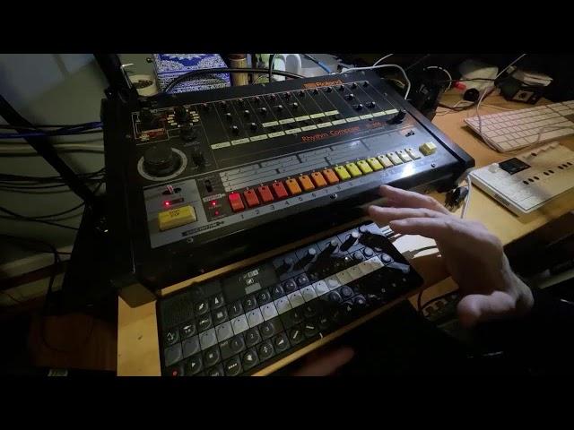 Teenage Engineering Op XY - Roland Tr808 (Sampler Walkthrough)