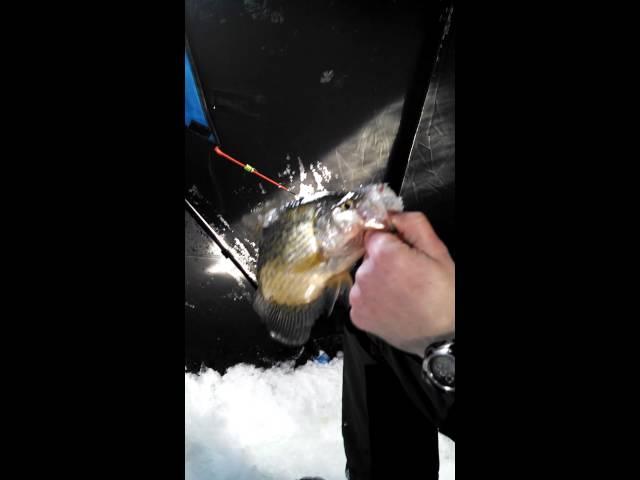 Northcountry Crappie Triple...