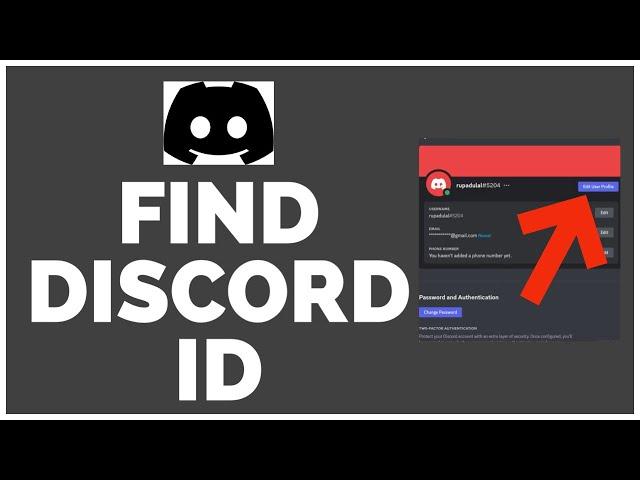 How To Find Your Discord ID (Updated 2023)