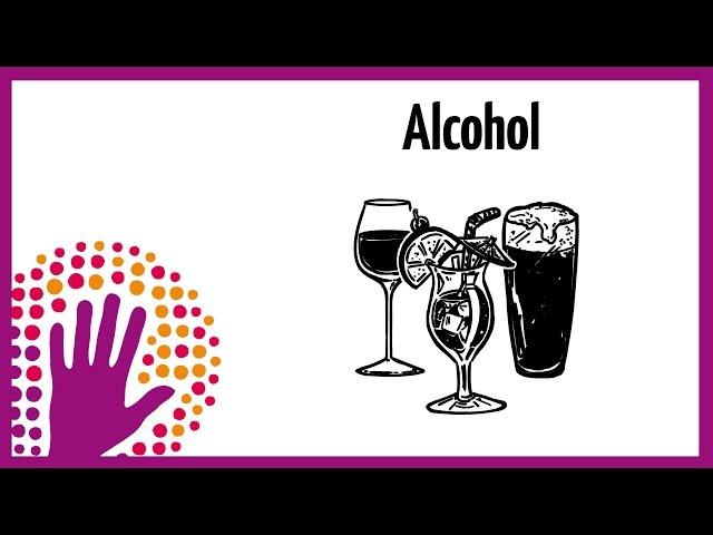 What Alcohol Does to Your Body