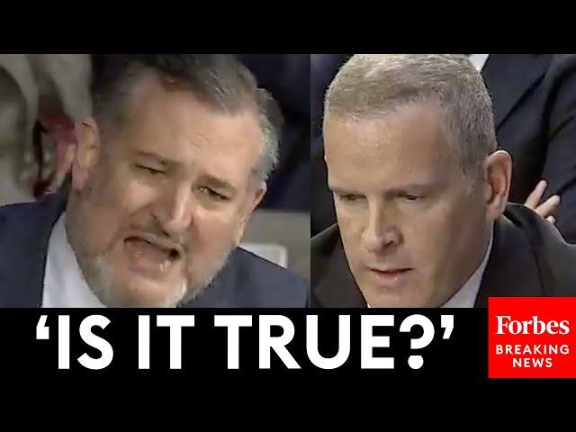 BREAKING NEWS: Ted Cruz Explodes On Top FBI Official Over Biden 'Bribery  Scheme' Allegations