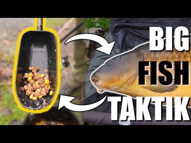 ️ Karpfenangler Tipps & Tricks am Vereinspool | Instant Köder - Jan Brauns | Naturebaits | Winter