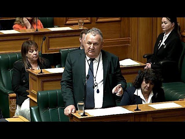 Jones & Seymour Roast Rabid Te Pāti Māori MPs