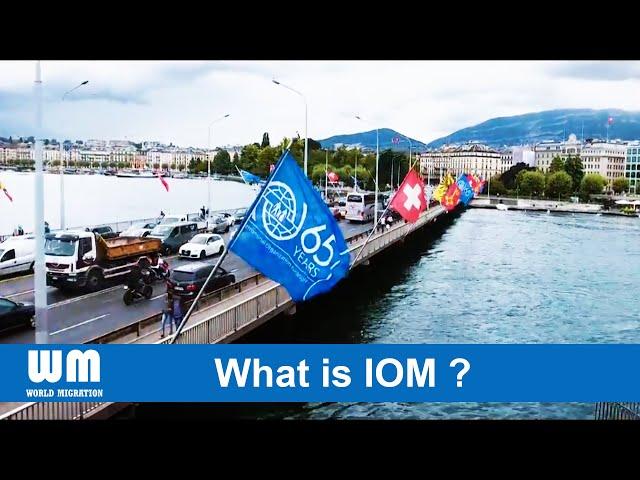 What is IOM | International Organization of Migration | English | Publicity by World Migration (WM)