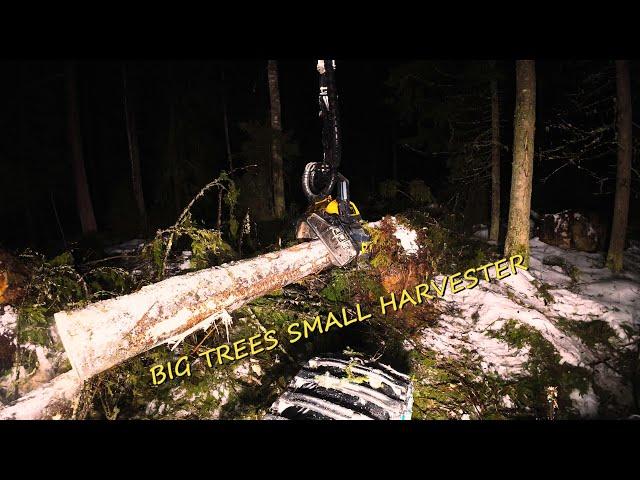 Storm - Damaged tree harvesting - Ponsse Scorpion